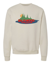 Load image into Gallery viewer, Champion Vintage Crewneck Circa Early 2000&#39;s